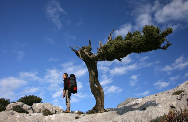 VIAGGI