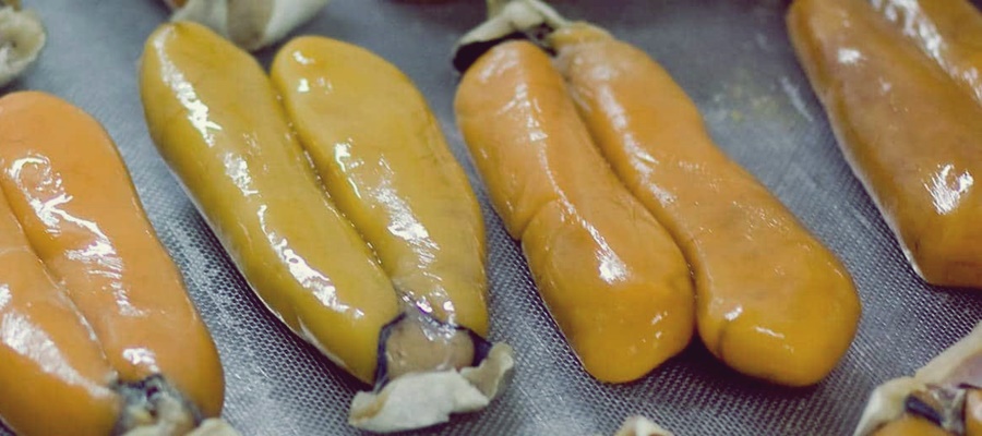 bottarga- 2bis